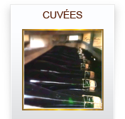 Champagne Lopez-Martin-Cuves