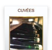 Champagne Lopez-Martin-Cuves
